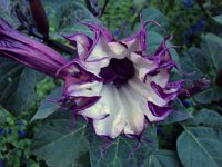 photos 2000-200902746